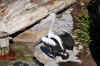 DSC_2248.jpg (124817 bytes)