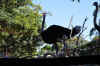 DSC_2262.jpg (131904 bytes)