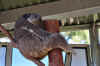 DSC_2272.jpg (123148 bytes)