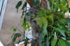 DSC_2278.jpg (138120 bytes)