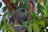 DSC_2281.jpg (133356 bytes)