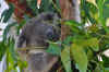 DSC_2283.jpg (131272 bytes)