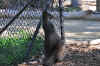 DSC_2285.jpg (132058 bytes)