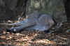 DSC_2290.jpg (132906 bytes)