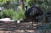 DSC_2292.jpg (160572 bytes)