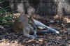 DSC_2293.jpg (126631 bytes)