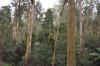 DSC_2392.jpg (145699 bytes)