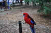 DSC_2397.jpg (117582 bytes)