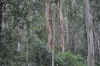 DSC_2412.jpg (134952 bytes)
