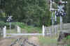 DSC_2423.jpg (124481 bytes)
