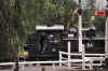 DSC_2427.jpg (136830 bytes)