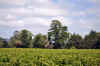 DSC_2430.jpg (134208 bytes)