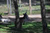 DSC_2453.jpg (142458 bytes)
