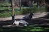 DSC_2454.jpg (138213 bytes)
