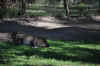 DSC_2455.jpg (133531 bytes)
