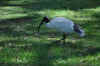 DSC_2456.jpg (146443 bytes)