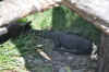 DSC_2461.jpg (146146 bytes)