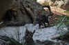 DSC_2475.jpg (122123 bytes)