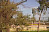 DSC_2489.jpg (154231 bytes)