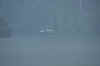 DSC_2609.jpg (49146 bytes)