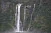 DSC_2656.jpg (119546 bytes)