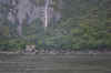 DSC_2670.jpg (115732 bytes)
