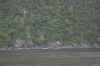 DSC_2671.jpg (123766 bytes)