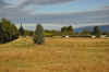 DSC_2700.jpg (114705 bytes)