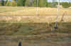 DSC_2708.jpg (122512 bytes)