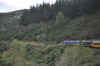 DSC_2723.jpg (113973 bytes)
