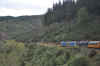 DSC_2724.jpg (127353 bytes)