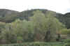 DSC_2726.jpg (122053 bytes)
