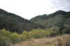 DSC_2727.jpg (112853 bytes)