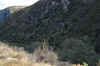 DSC_2752.jpg (118719 bytes)