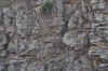 DSC_2764.jpg (141791 bytes)