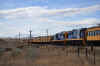 DSC_2780.jpg (117293 bytes)