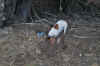 DSC_2782.jpg (128380 bytes)