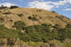 DSC_2810.jpg (124613 bytes)