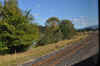 DSC_2814.jpg (142878 bytes)