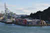 DSC_2862.jpg (114444 bytes)