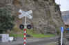 DSC_2875.jpg (132616 bytes)