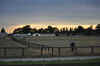 DSC_2881.jpg (95939 bytes)