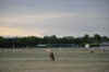 DSC_2883.jpg (86632 bytes)