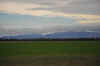 DSC_2891.jpg (75249 bytes)