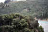 DSC_2912.jpg (141223 bytes)