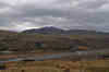 DSC_2935.jpg (102999 bytes)