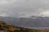 DSC_2936.jpg (73504 bytes)