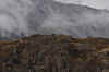 DSC_2946.jpg (109096 bytes)