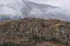 DSC_2947.jpg (114704 bytes)