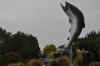 DSC_2970.jpg (87789 bytes)